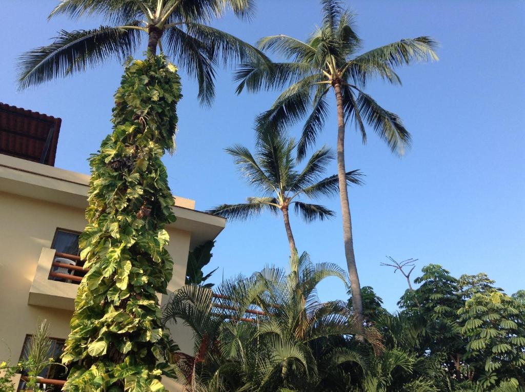 Hotel Palmeras Bucerias Exterior photo